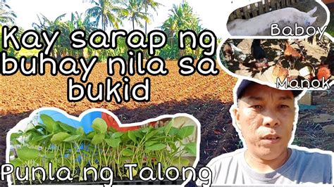 chupaan sa bukid|Sarap ng kantutan nila Ungol patungong langit .